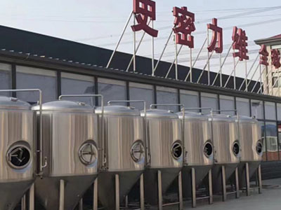 龙潭精酿啤酒设备厂—如何判断精酿啤酒设备的密封件需要更换？